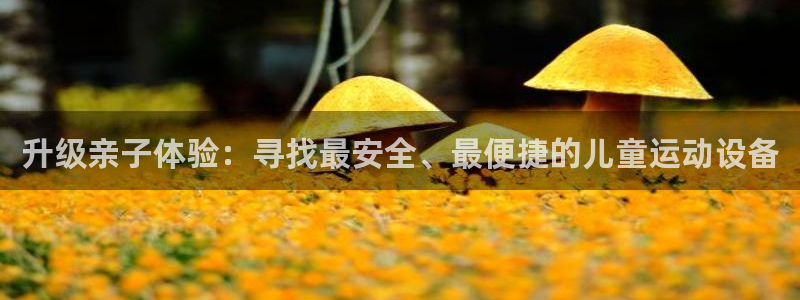 凯捷体育代理：升级亲子体验：寻找最安全、最便捷的儿童