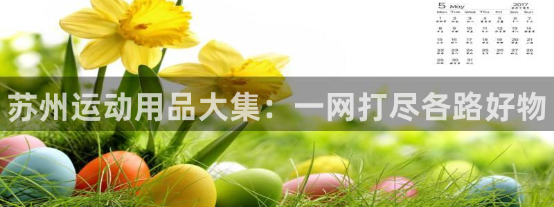 凯捷体育娱乐首页官网下载：苏州运动用品大集：一网打尽各路好物