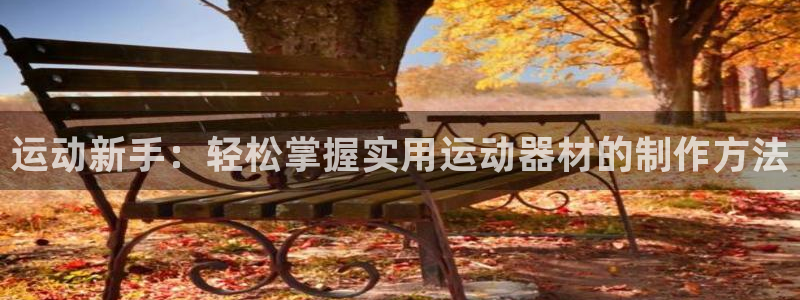 凯捷体育平台注册要钱吗：运动新手：轻松掌握实用运动器