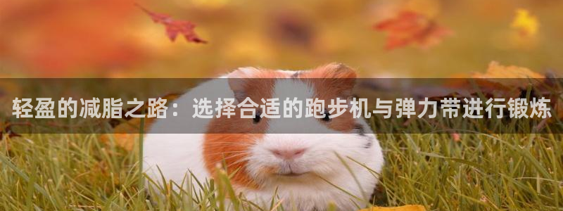 凯捷体育招商电话号码是多少啊：轻盈的减脂之路：选择合