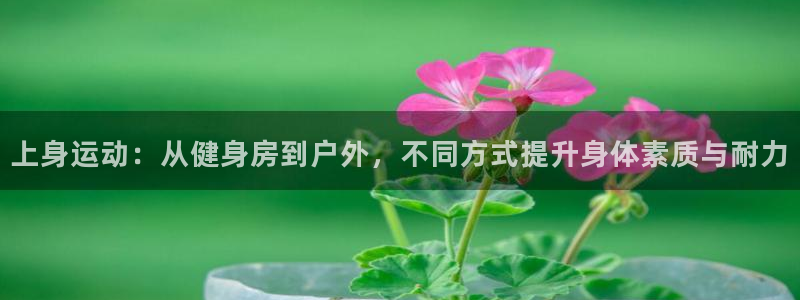 凯捷体育招商电话地址查询：上身运动：从健身房到户外，