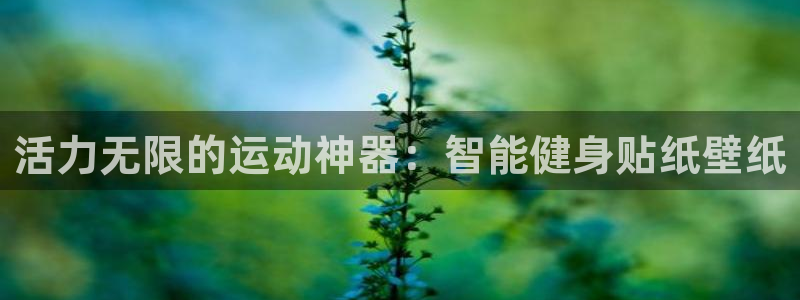 凯捷体育平台假的吗是真的吗吗：活力无限的运动神器：智