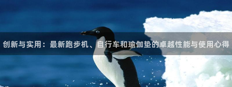 凯捷体育开户：创新与实用：最新跑步机、自行车和瑜伽垫