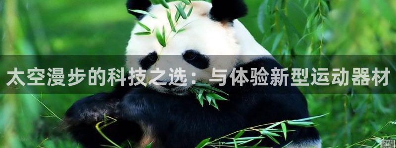 凯捷体育软件：太空漫步的科技之选：与体验新型运动器材