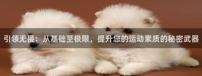 凯捷体育招商电话是多少：引领无畏：从基础至极限，提升