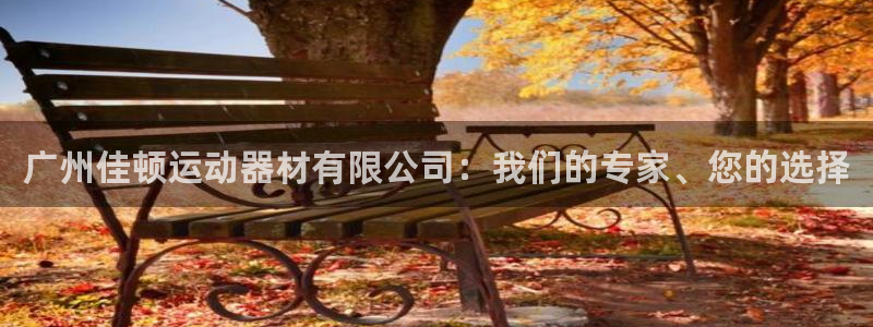 凯捷体育科技：广州佳顿运动器材有限公司：我们的专家、