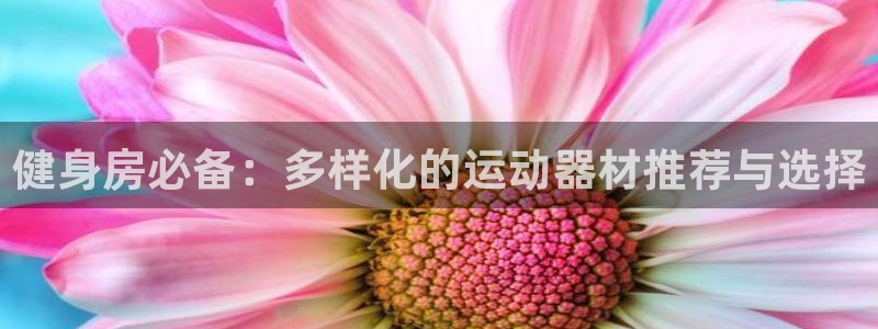 凯捷体育平台注册要钱吗安全吗：健身房必备：多样化的运
