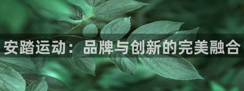 凯捷体育集团：安踏运动：品牌与创新的完美融合