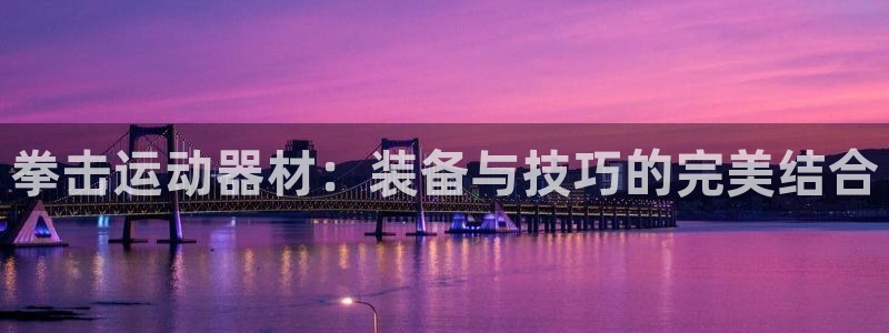 凯捷体育集团logo：拳击运动器材：装备与技巧的完美结合