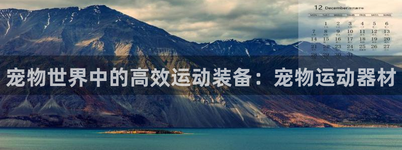 凯捷体育平台是正规平台吗：宠物世界中的高效运动装备：宠物运动