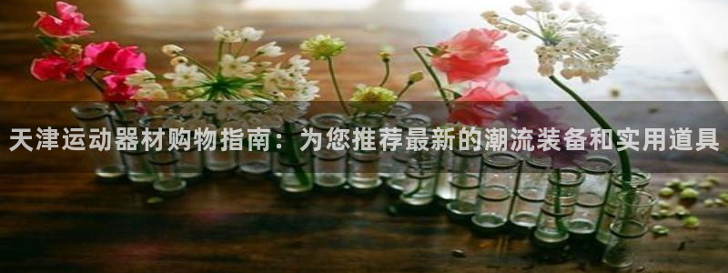 海南凯捷体育发展怎么样：天津运动器材购物指南：为您推荐最新的