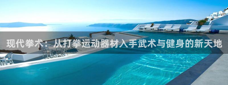 凯捷体育平台注册要钱吗安全吗：现代拳术：从打拳运动器